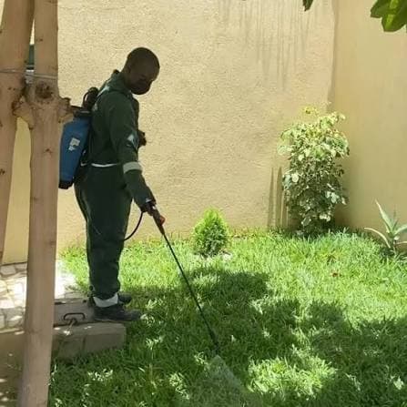 Pest Elimination Strategy